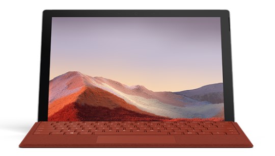 丹徒清洁和维护 Surface